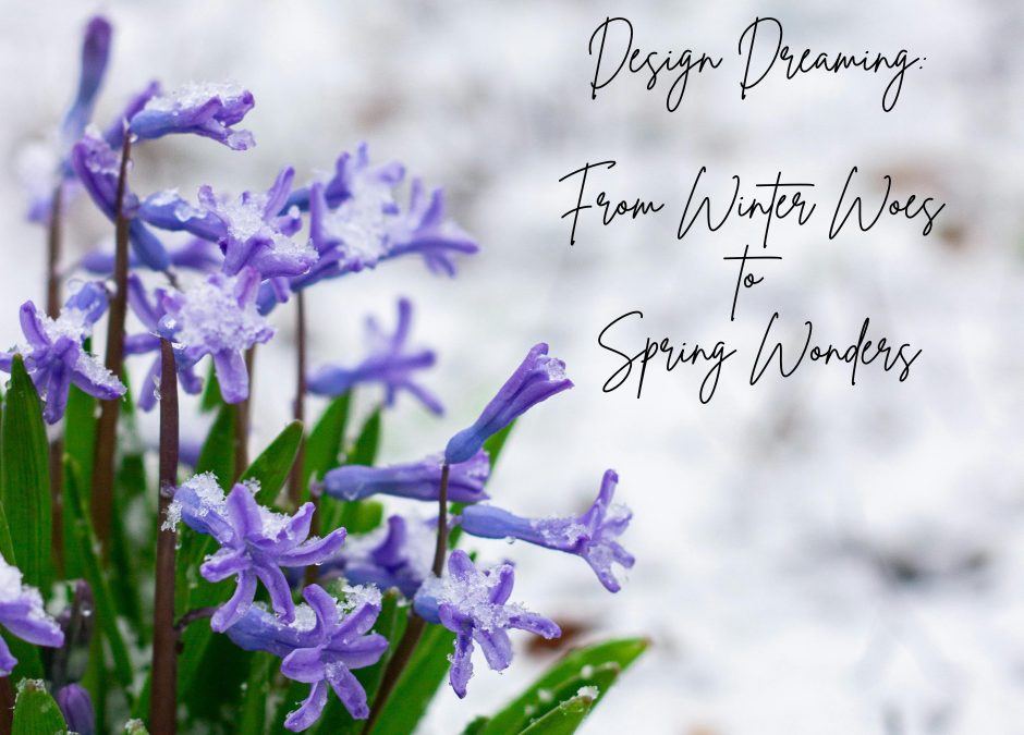 Design Dreaming: From Winter Woes to Spring Wonders