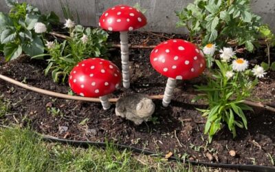 Summer Projects You Can Do and Enjoy!